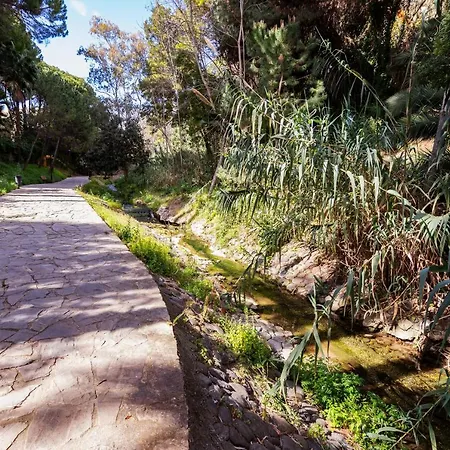 Naranjos Appartamento Marbella